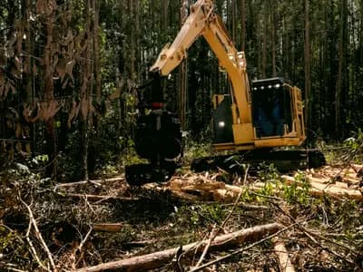 Land Clearing Services Columbus in Columbus